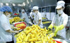 5  T2   699   Trung Quốc tăng cường quản lý truy xuất nguồn gốc trái cây nhập khẩu(1)